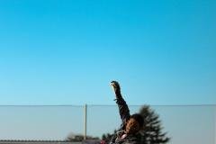 IMG-20251226-WA0025