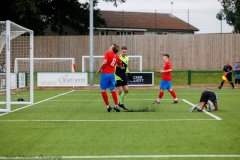 WhatsApp-Image-2023-08-28-at-19.54.16