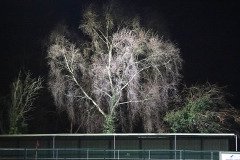 WhatsApp-Image-2026-02-22-at-07.32.20